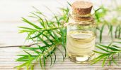 Tea Tree Face Toner